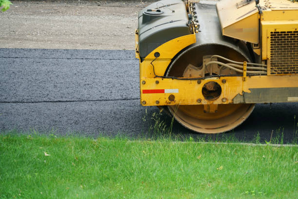 Best Driveway Paver Repairs and Restoration in Hollywood Park, TX